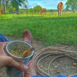 Tereré